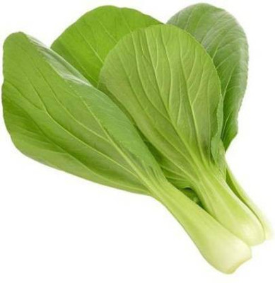 Axote Chinese celery cabbage Seed(500 per packet)