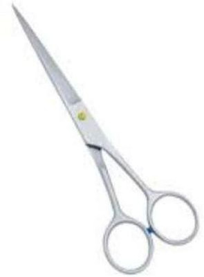 SBTs Professional Salon Barber Hair Cutting /01 Scissors(Set of 1, STEEL)