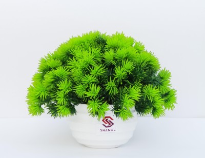 shanol :) Shanol :) Artificial wheat grass plant with Pot green grass Potted Plastic wild Green Grass Fake Topiaries Shrubs for Home, Garden and Office Decor Wild Artificial Plant with Pot Artificial Small Green Leaf Shrub Grass Plant (28 cm, green and lite Green, White pot) pack of 1 Artificial Pla