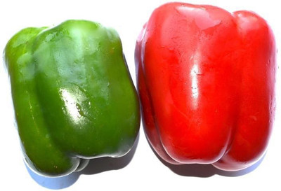 LYRS Hybrid Green Red Mix Capsicum Seed Seed(85 per packet)