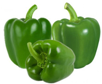 LYRS Green Capsicum Seed Seed(45 per packet)