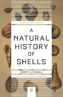 A Natural History of Shells(English, Paperback, Vermeij Geerat)