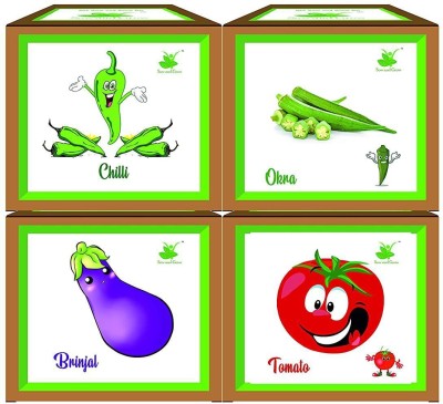 Sow and Grow Chilli, Okra, Brinjal, Tomato Plant Seed Gardening Kit for Home and Garden Seed(4 per packet)