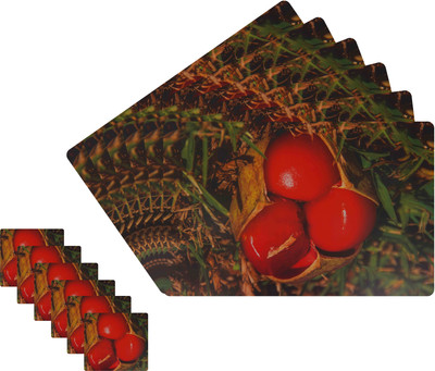 Glassiano Rectangular Pack of 12 Table Placemat(Orange, Green, Polyester)