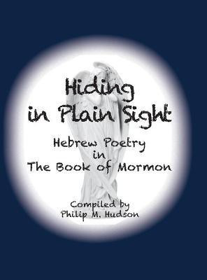Hiding in Plain Sight(English, Hardcover, Hudson Philip M)