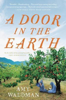 A Door in the Earth(English, Paperback, Waldman Amy)