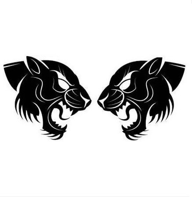 AVSARACHNA Sticker & Decal for Car & Bike(Black)