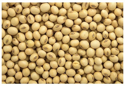 DEVANGI Soyabean Seed(1000 per packet)