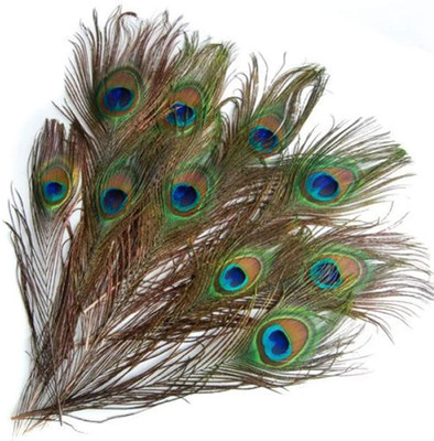 Raadha Pack of 25 Decorative Feathers(22 Peacock Feather)