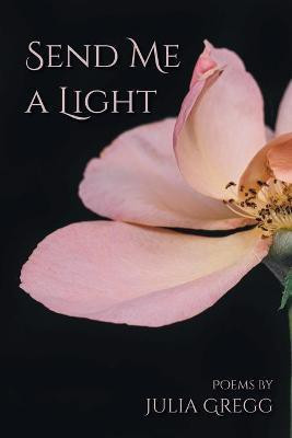 Send Me a Light(English, Paperback, Gregg Julia)