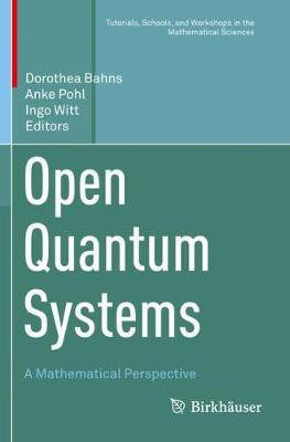 Open Quantum Systems(English, Paperback, unknown)