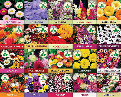 Onecare Flower seed kit Seed(400 per packet)