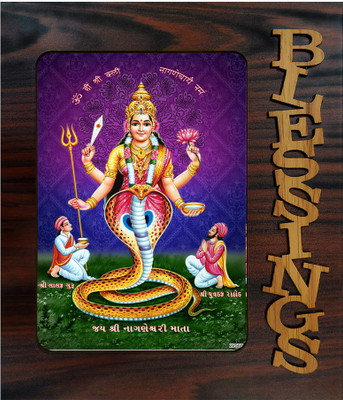 pnf Nageshwari MATA Religious Frame-22560 Religious Frame