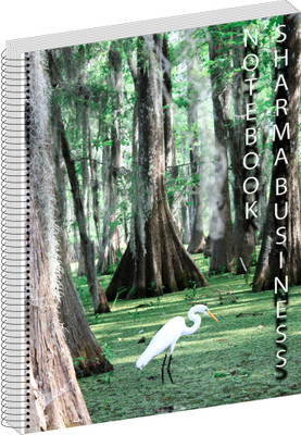 SHARMA BUSINESS HANDMADE A4 Note Book PLAIN 300 Pages(Multicolor)