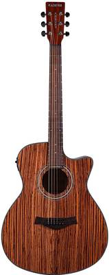 KADENCE Acoustica A05 semi acoustic guitar Zebra Wood with Bag Acoustic Guitar Rosewood Rosewood Right Hand Orientation