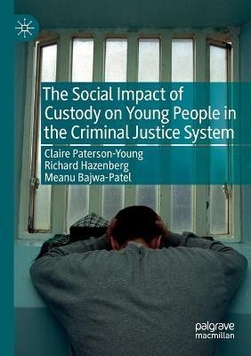 The Social Impact of Custody on Young People in the Criminal Justice System(English, Paperback, Paterson-Young Claire)