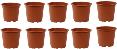 Naturally Green Nursery Pot 6 inch Malta( pack of 20) Plant Container Set(Pack of 20, Plastic)