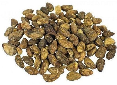 Sjeme Neem Tree Neem Malabar Seed Seed(5 per packet)