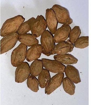 Sjeme Neem Malabar Seed Seed(110 per packet)