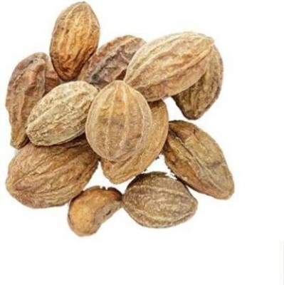 Shiv Shakti Ent HARAD /HARTAKI Seed(400 per packet)