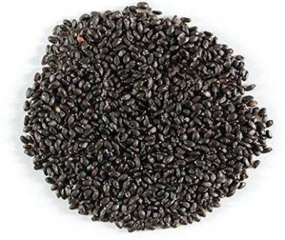 Shiv Shakti Ent Tulsi Seed Seed(200 per packet)