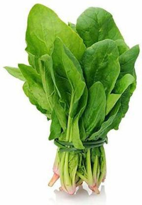 Chalisa Malabar spinach, palakura, spinach seed, vine spinach, ceylon spinach Seed(102 per packet)