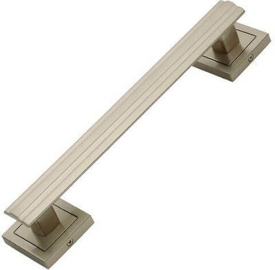 

FAST Zinc Door Pull(Steel, Silver Pack of 1)
