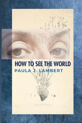 How to See the World(English, Paperback, Lambert Paula J)