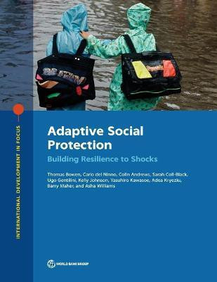 Adaptive Social Protection(English, Paperback, Bowen Thomas)