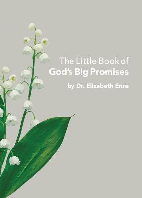 The Little Book of God's Big Promises(English, Paperback, Enns Elizabeth Dr)