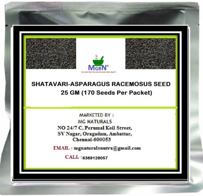 MGBN SHATAVARI-ASPARAGUS RACEMOSUS SEED-25 Gm Seed(170 per packet)
