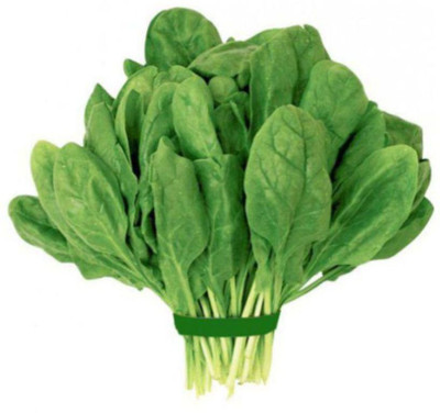 LYRS Choulai (Amaranth ) Vegetable Seed Seed(500 per packet)