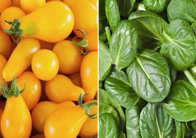 Axote Tomato S Yellow Pear , Baby Spinach Seed(50 per packet)