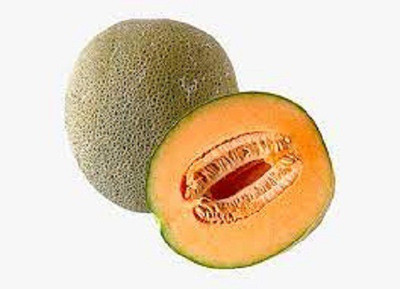 V Seed Pusa Rasraj Kharbuj / Musk Melon Seed Seed(170 per packet)