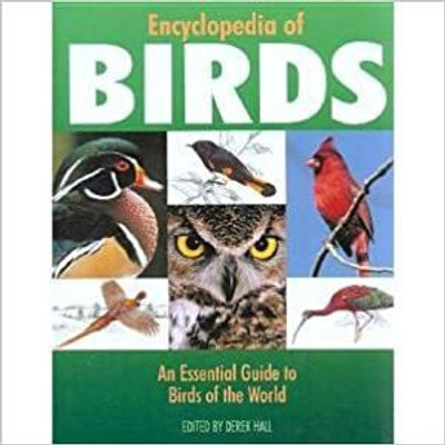 Encyclopedia of Birds(English, Hardcover, Hall Derek)