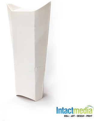 Intact Media Corrugated Paper Packaging Box(Pack of 5 White)