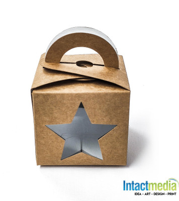 Intact Media Double Wall Carton Cardboard Packaging Box(Pack of 10 Brown)