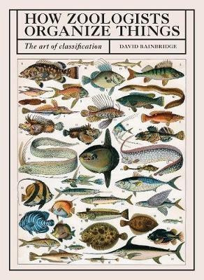 How Zoologists Organize Things(English, Hardcover, Bainbridge David)