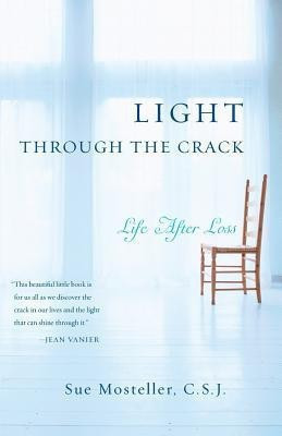 Light Through the Crack(English, Paperback, Mosteller Sue)