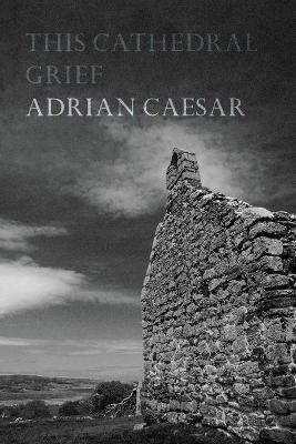 This Cathedral Grief(English, Paperback, Caesar Adrian)