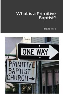 What is a Primitive Baptist(English, Paperback, Wise David)