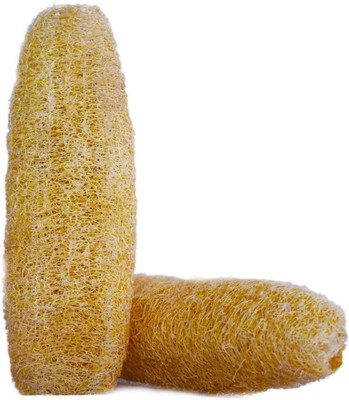 Mini Storify Loofah(Pack of 2, Brown)