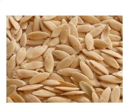 Sjeme Desi Kheera Cucumber Seed(5 per packet)