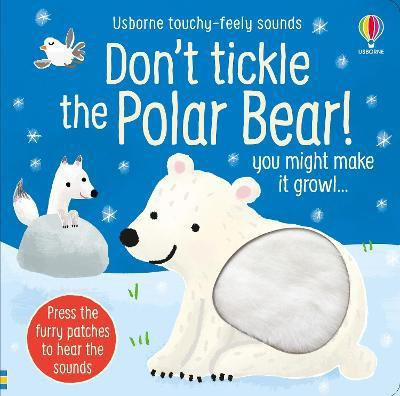 Don't Tickle the Polar Bear!(English, Board book, Taplin Sam)