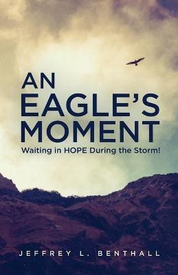 An Eagle's Moment(English, Paperback, Benthall Jeffrey L)