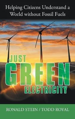 Just Green Electricity(English, Hardcover, Stein Ronald)