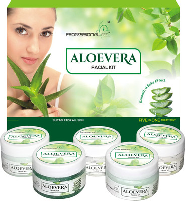 PROFESSIONAL FEEL Aloevera Beauty Parlour Facial Kit,Suitable For All Age, All Type skin Solution(250 g)