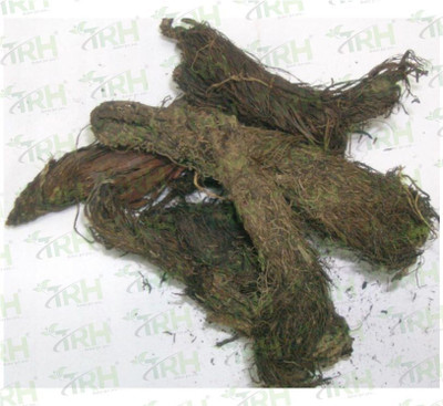 TRH Balchad - Jatamansi - Nardostachys - Musk Root - Spikenard Seed(200 per packet)