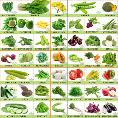 FLARE SEEDS 45 Variety Vegetables Seeds Combo Seed(60 per packet)