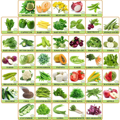 FLARE SEEDS 45 Variety Combo Of Vegetable Seeds Seed(20 per packet)
